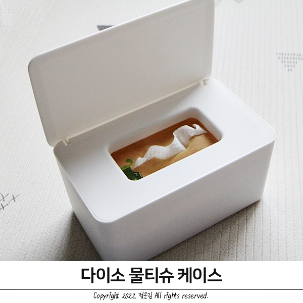다이소 물티슈 케이스 두달 사용후기 다이소 물티슈 케이스 두달 사용후기