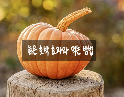  늙은 호박 효과와 먹는 방법