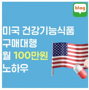 크몽 전자책 추천 미국건강기능식품 구매대행 월100만원 노하우