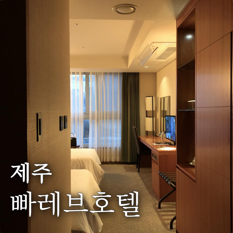 빠레브호텔 서귀포 가성비 호텔 솔직후기