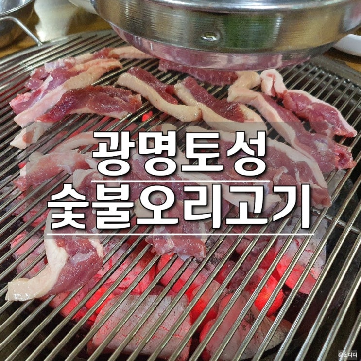  광명 밤일마을 오리고기 광명토성, 숯불로 하는 생오리구이 후기