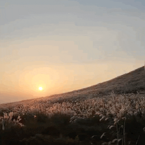 [제주/3박 4일] 가족 여행 Day 1