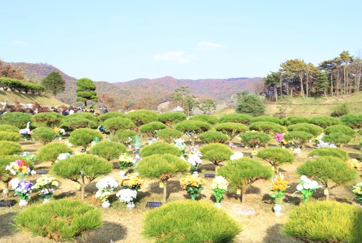  산림청수목장 국립과 일반 시설 차이점