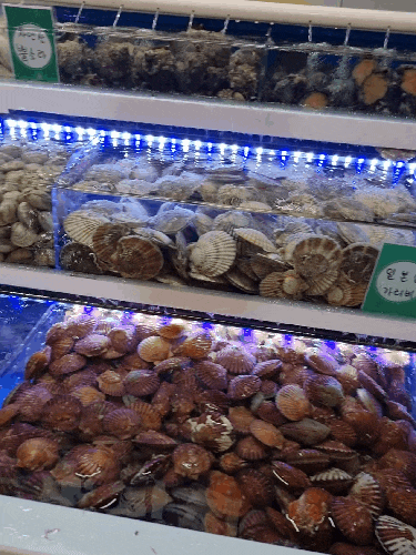  창원의창구맛집 / 조개창고 / 감계맛집 / 조개&고기 무한리필