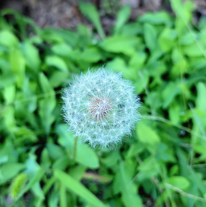 서영은 꿈을 꾼다 좋은 노래 가사