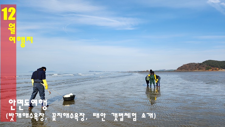 태안 안면도여행 - 밧개해수욕장, 꽃지해수욕장, 태안갯벌체험 태안 안면도여행 - 밧개해수욕장, 꽃지해수욕장, 태안갯벌체험