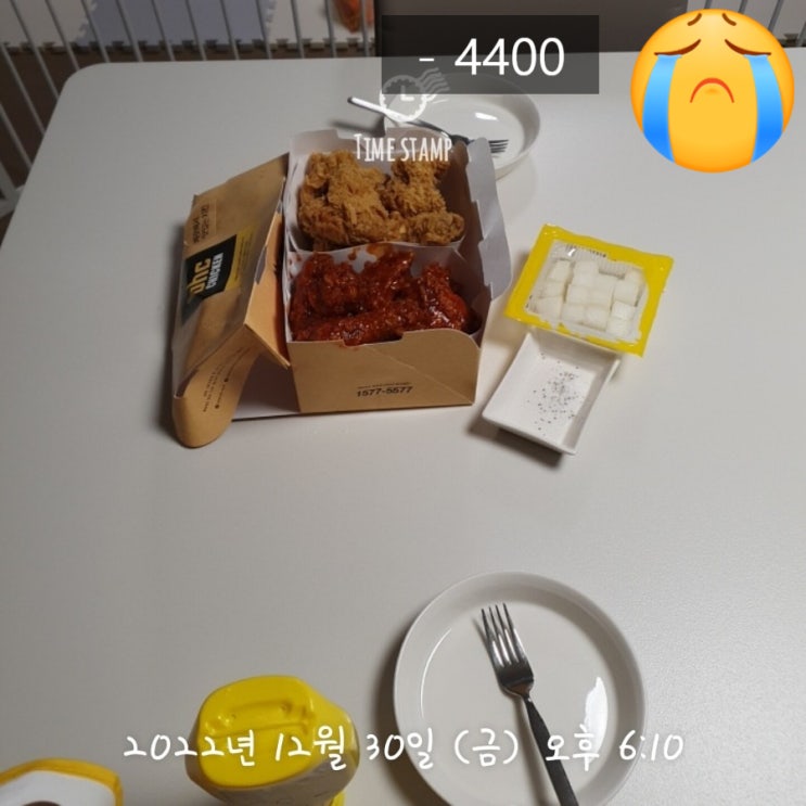  2022년 12월 30일 무지출식단 도전기!
