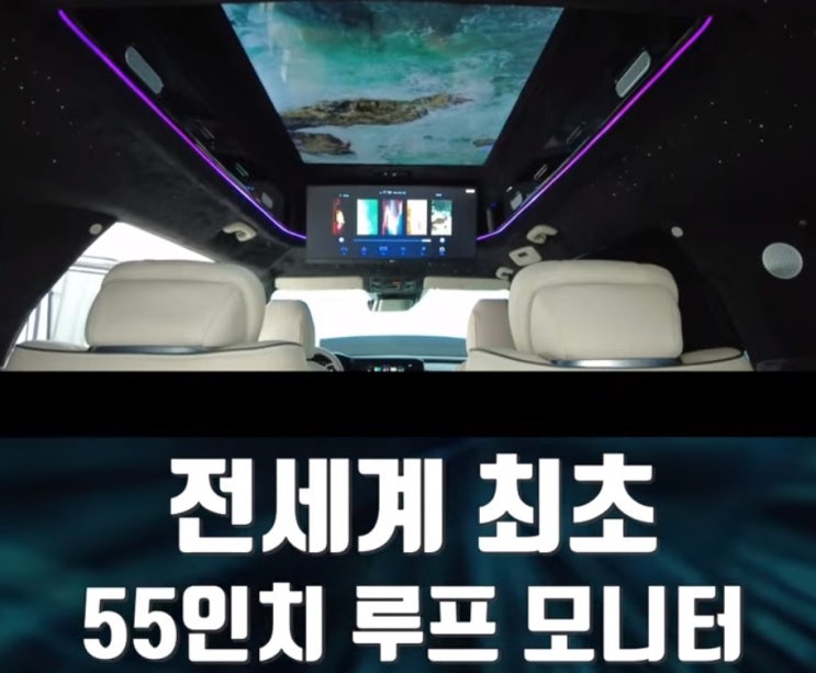  보가9 카니발 하이리무진 전세계 최초의 루프 모니터 개발, 상용화