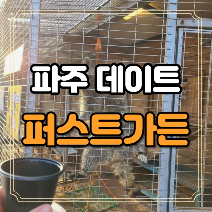  파주 퍼스트가든 데이트 라쿤 동물먹이주기