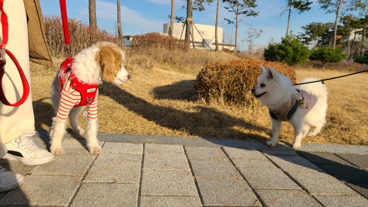 브리딩 그룹수업 후기 - 겨울 산책수업 스케치 브리딩 그룹수업 후기 - 겨울 산책수업 스케치
