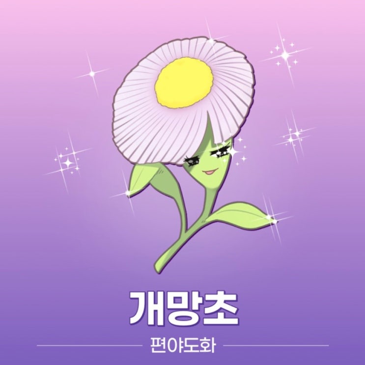  도화살 테스트, 치명적 매력 알기! (링크O)