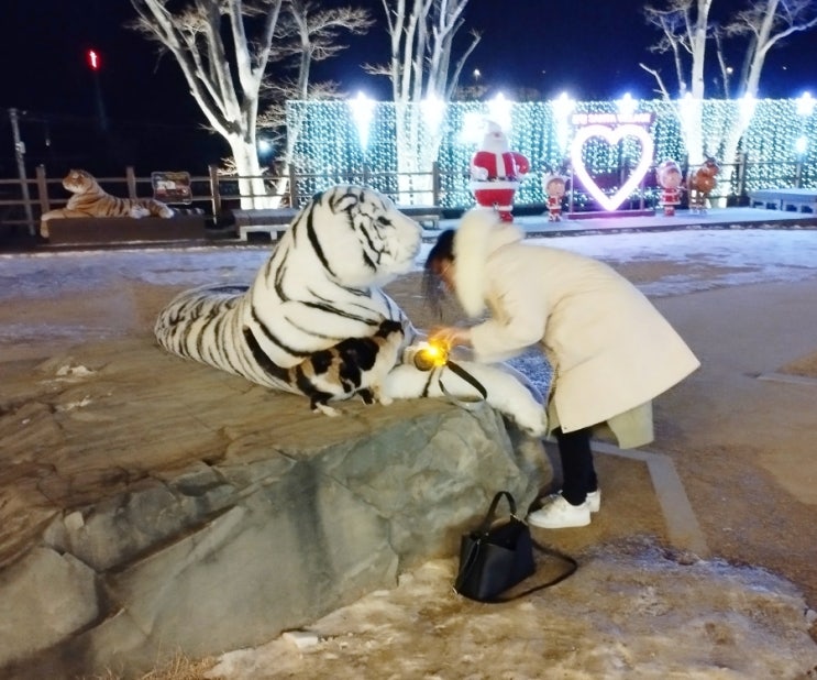  사진욕심 많은 분천역 고양이 선생.JPG