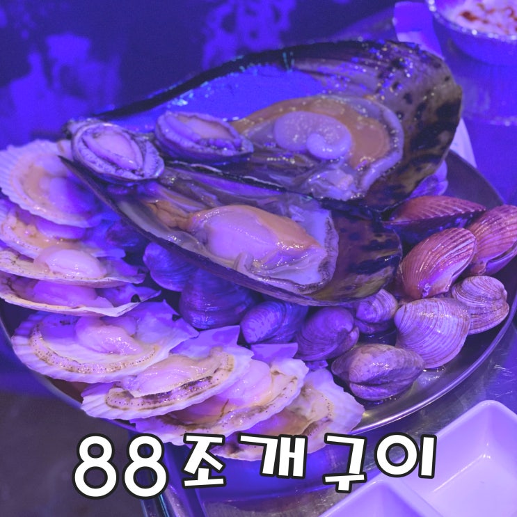  [영종도 맛집] 애견동반 맛집 88조개구이