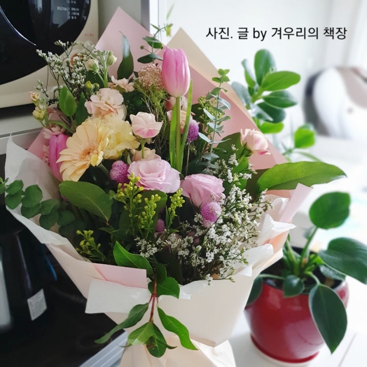 초등학교 졸업식 이제 중학생 시작