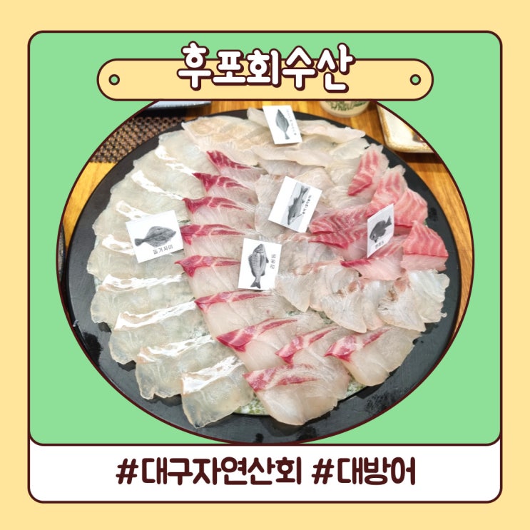 대구 횟집 후포회수산 수성구로 이전했어요 모듬코스 대구 횟집 후포회수산 수성구로 이전했어요 모듬코스