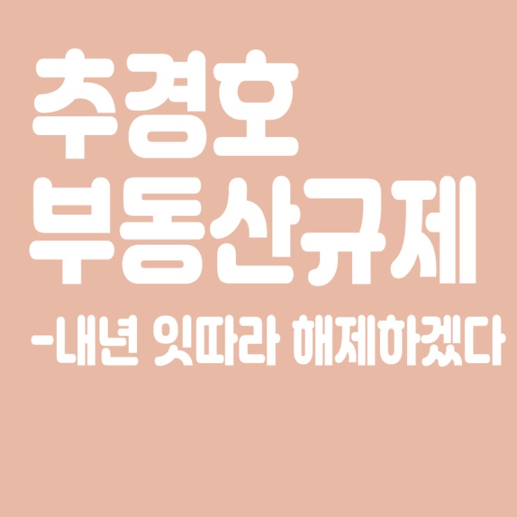  추경호 "부동산 규제, 내년 잇따라 해제하겠다"