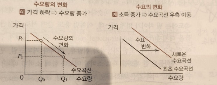  부동산학개론의 부동산각론(경제론, 시장론)장혁교수님