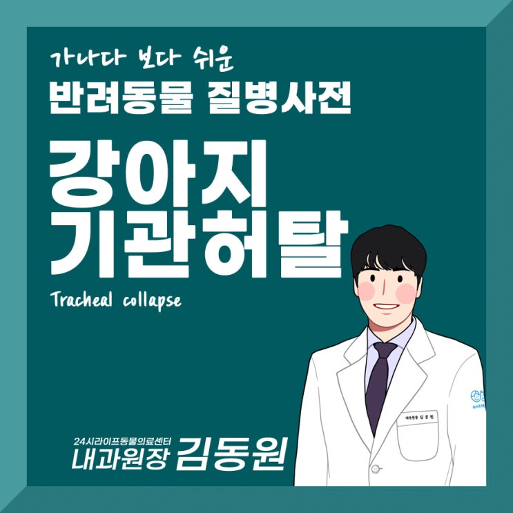 강아지 기관허탈 강아지 기관지협착증 대구 강아지만성기침진료 : 대구24시동물병원 강아지 기관허탈 강아지 기관지협착증 대구 강아지만성기침진료 : 대구24시동물병원