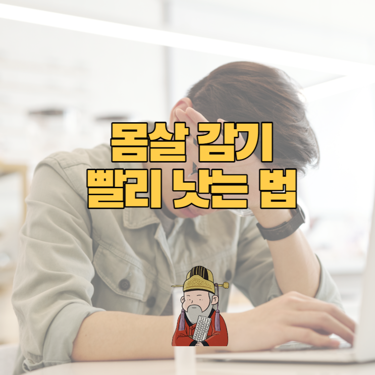  몸살 감기 빨리 낫는 법 꿀팁!