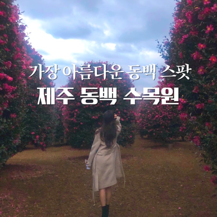  제주 동백수목원 입장료, 동백꽃 시기가 궁금해