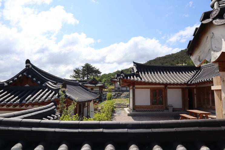  경주 화랑마을 육부촌 한옥 숙박
