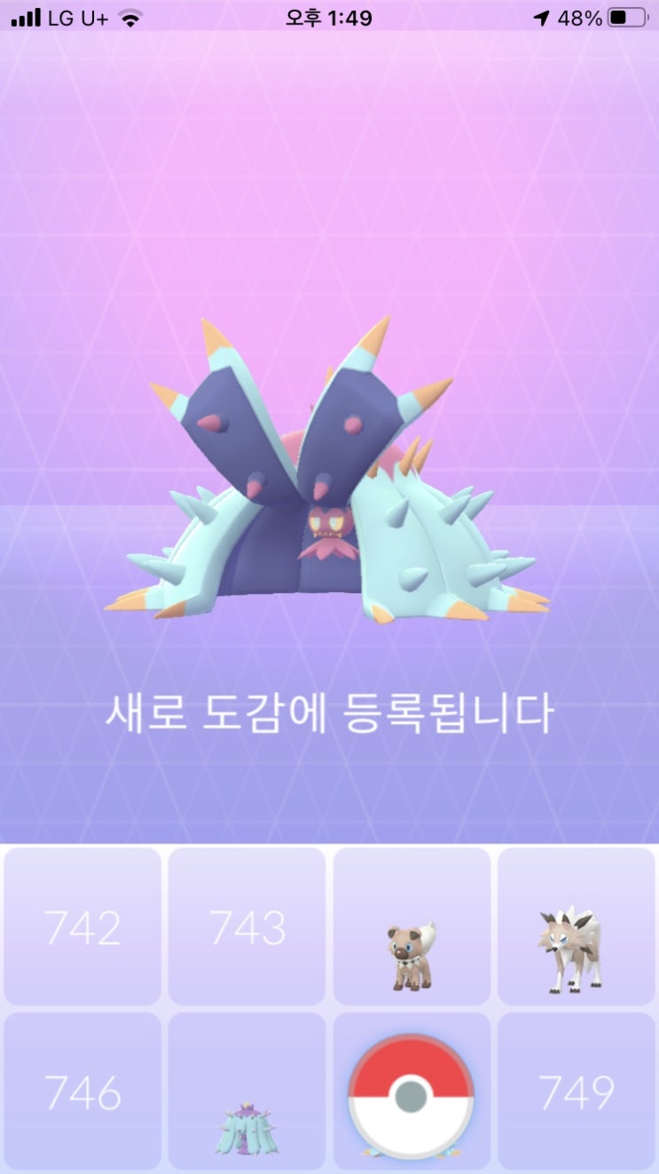  5km 알에서 부화한 시마사리 진화 더시마사리