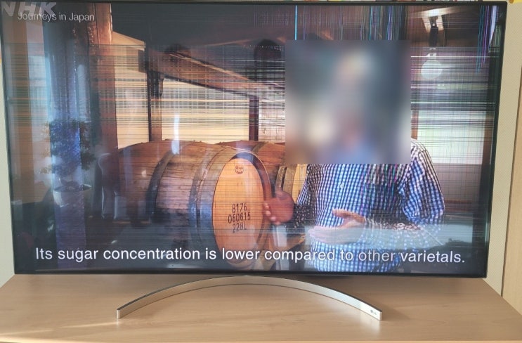  인천 TV 수리 LG 65SK9900 화면 파손된 티비 액정 출장 수리 인천 삼산동 세로줄 가로줄