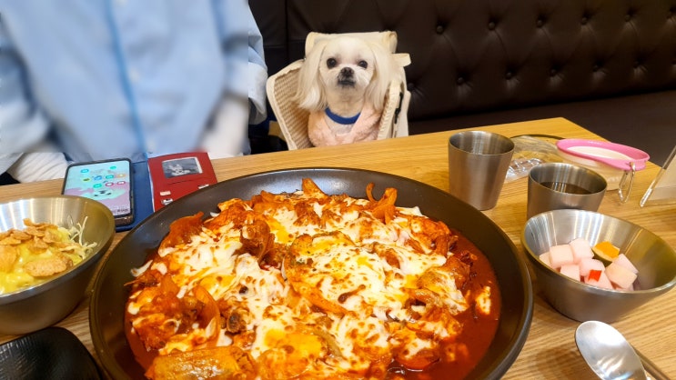  광명애견동반식당 치즈를 사랑한 찜닭 광명역점 일직동맛집