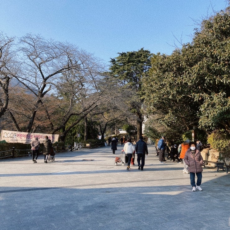 초심정 사진 2