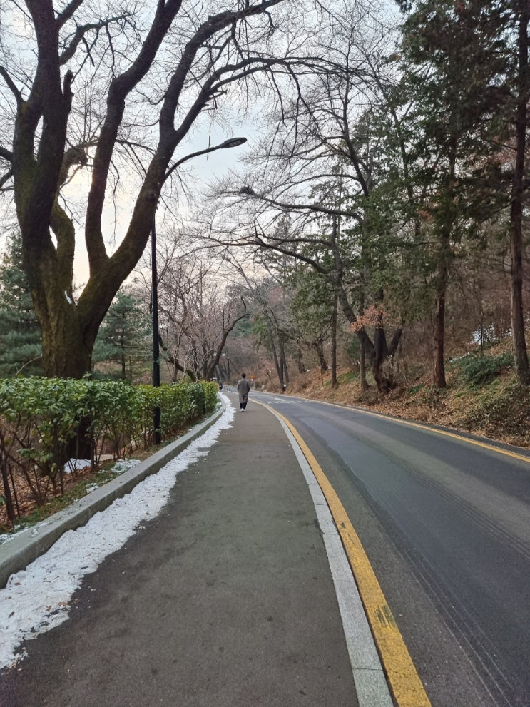  새해 마지막 날엔 등산이지~ / 남산 등산