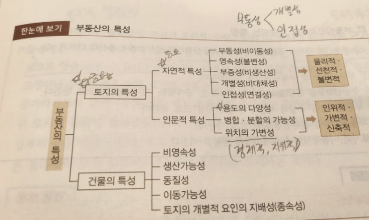  공인중개사 부동산학개론,부동산총론,장혁교수님
