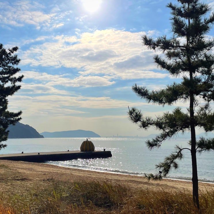  #221231 일본 다카마쓰 여행 - 카가와현 쿠폰북, 쇼도시마로 출발