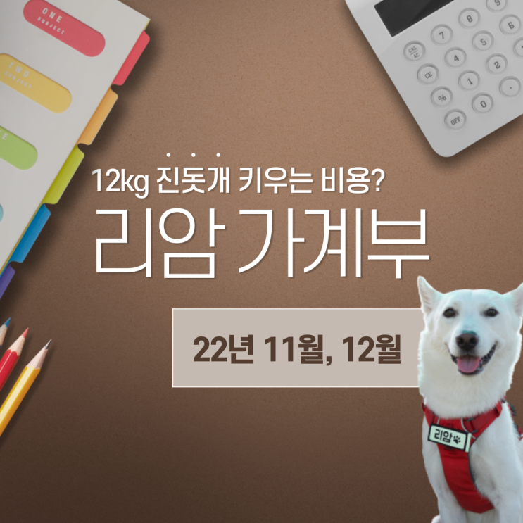 강아지 한 달 비용 얼마 들었나(11월~12월) 강아지 한 달 비용 얼마 들었나(11월~12월)