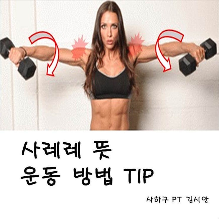 사레레 뜻과 운동방법 중요 TIP까지