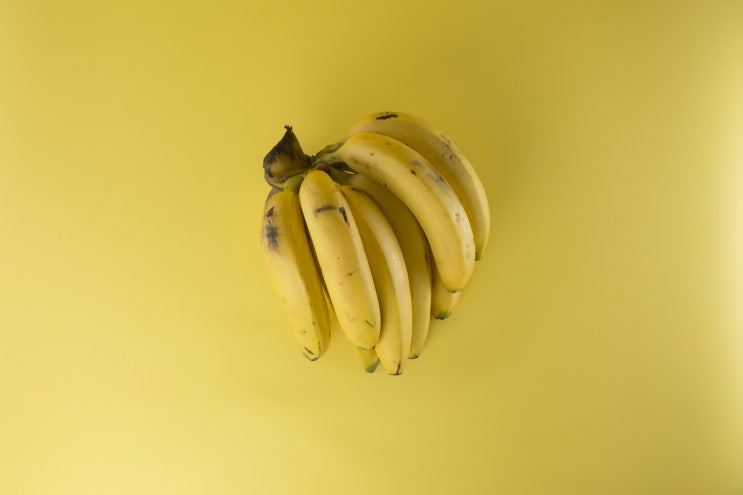 [오과무] #2 세상을 살아가면서 바나나와 같이 겉과 속의 다른 모습을 가지고 있는 자아를 알아가는 장소