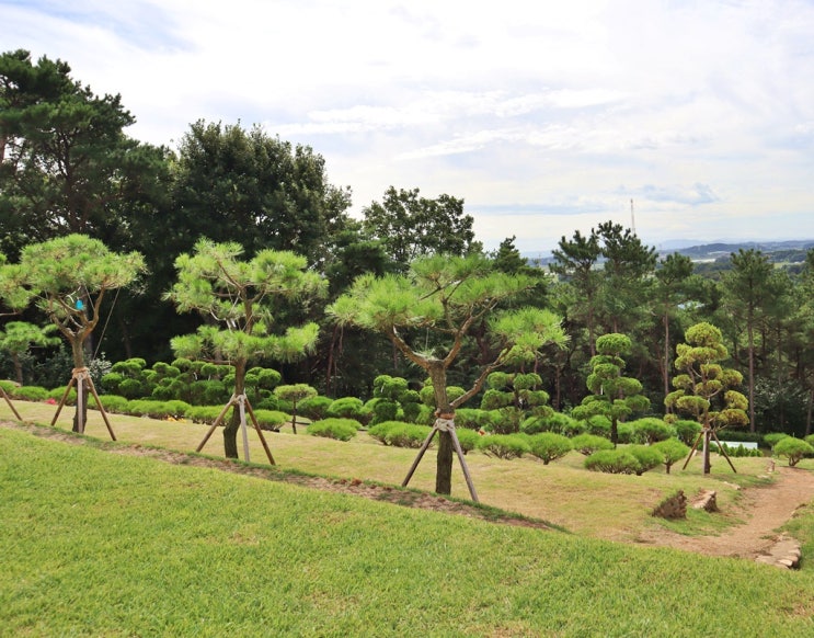  산림청 수목장과 일반 시설의 비교