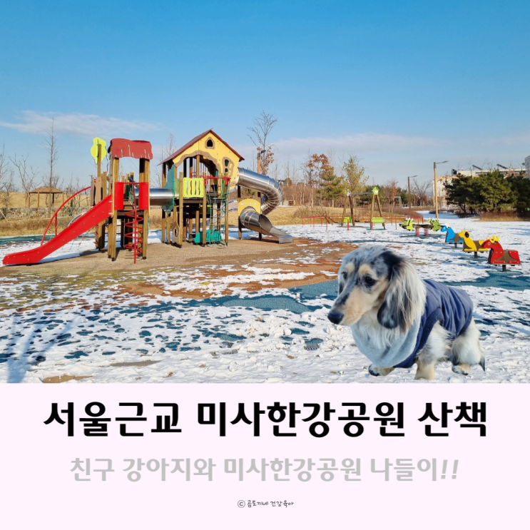 서울근교 공원 산책 : 미사한강공원에서 강아지와 나들이 후기 서울근교 공원 산책 : 미사한강공원에서 강아지와 나들이 후기