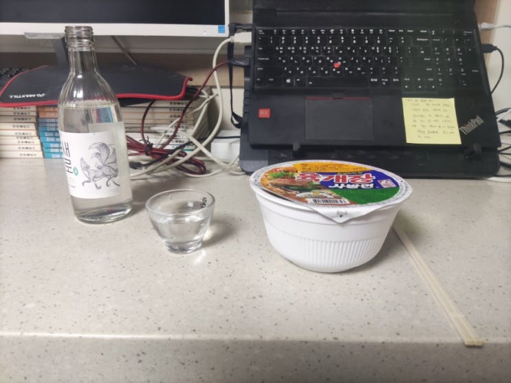  한해를 되돌아보며