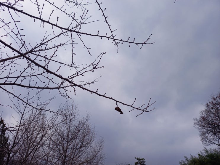  하강부하