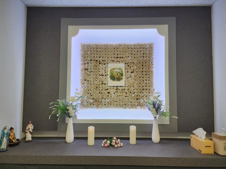  안산 반려동물 장례식장 그리움 ; 16살 내 강아지 똘이와 이별하다...