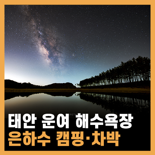  캠핑·차박 장소 추천 - 서해 일몰 명소 태안 운여해변 / 물때 및 은하수