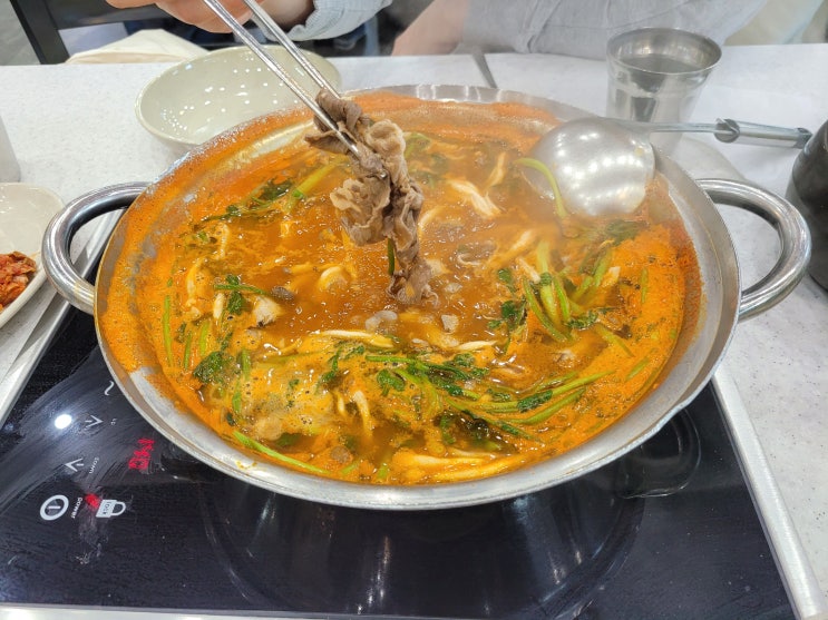  의왕 가족끼리 식사할만한 칼국수 맛집 (내돈내산 버섯샤브칼국수)