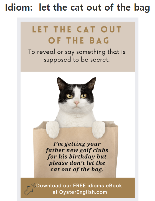  [영어]Let the cat out of the bag