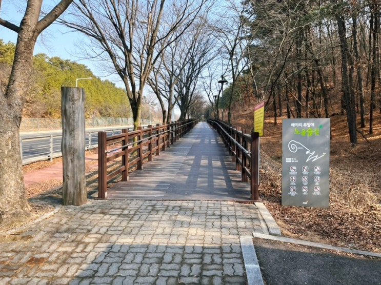  파주 헤이리 무장애 노을숲길 다녀왔어요~ 무장애 노을숲길 입구 위치, 주차, 등산로 등 이모저모