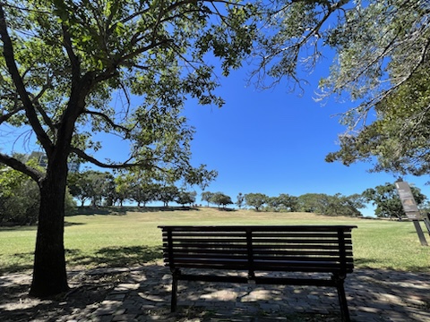 [호주 시드니 액티비티] 시드니 공원(Sydney Park) :: 한적하게 아이와 시간 보내기 너무 좋았던 장소