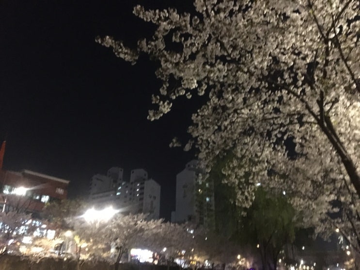  50분 달리기 도전 4주차 - 3
