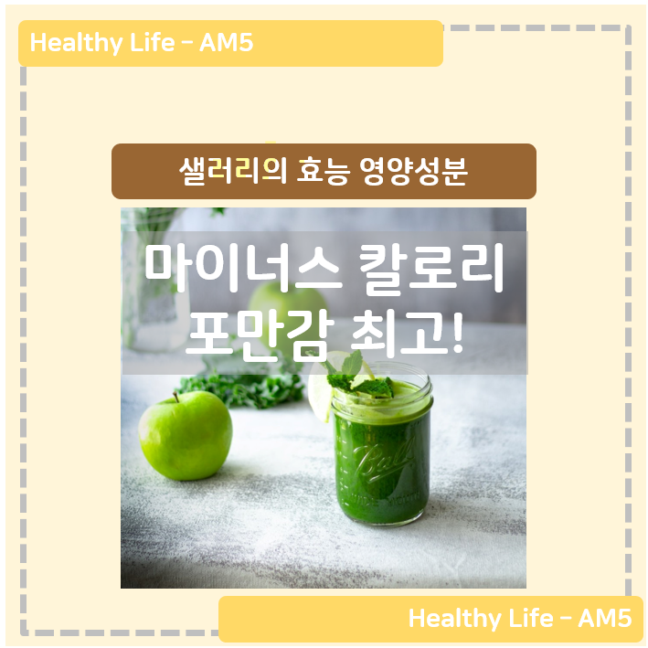  샐러리의 효능 영양성분 마이너스 칼로리 - 포만감 최고!