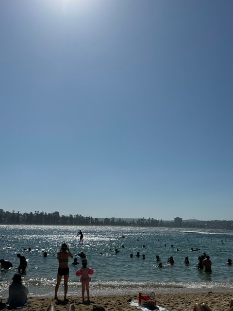  [호주 시드니 액티비티] 셸리 비치(Shelly Beach) :: 어린아이도 스노클링 하기 좋은 곳