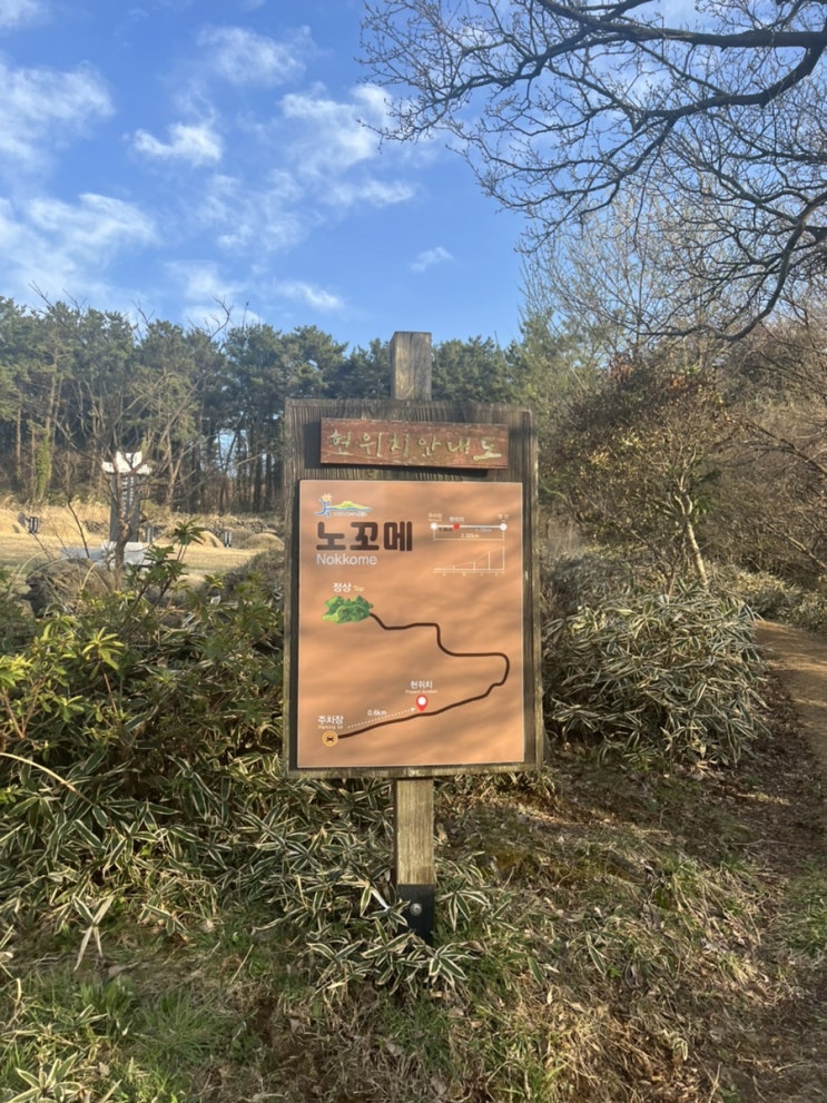  제주 애월 오름 “큰노꼬메”