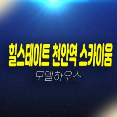 04-01 힐스테이트 천안역 스카이움 성정동 아파트분양 현대건설 1군 브랜드시공 아파트 분양가 중대형 평형타입 잔여세대 모델하우스 학군입지현장